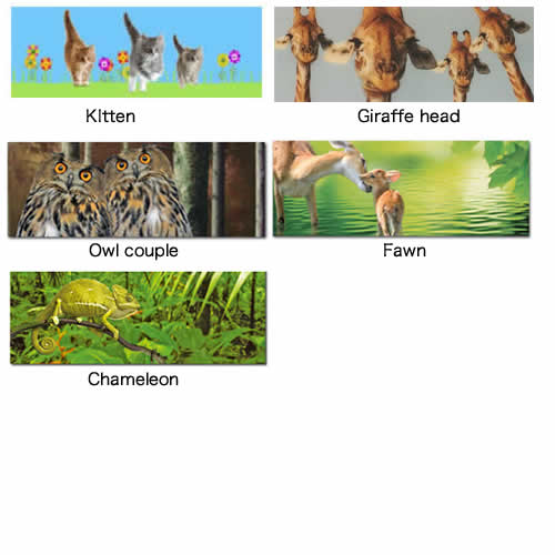 人気のエモーションギャラリーに新作追加!