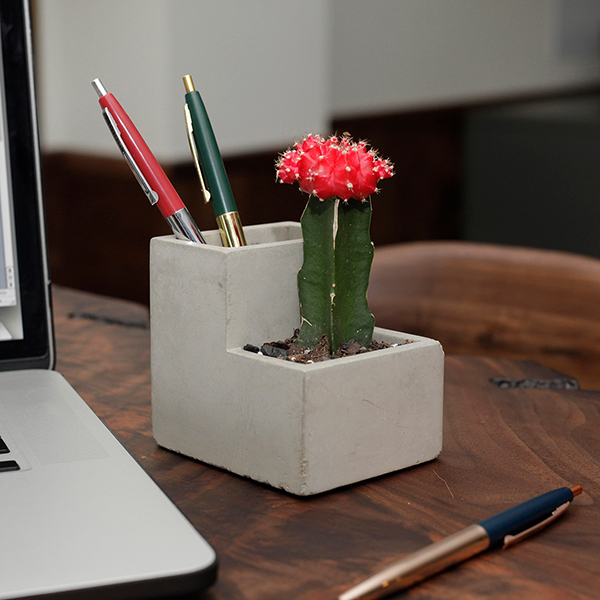 サボテンに最適なコンクリート製のデスクトッププランター。