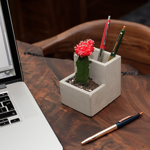 サボテンに最適なコンクリート製のデスクトッププランター。