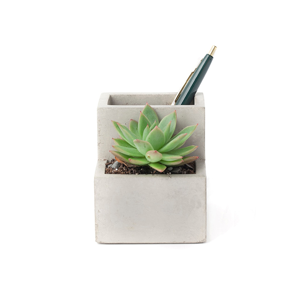 サボテンに最適なコンクリート製のデスクトッププランター。