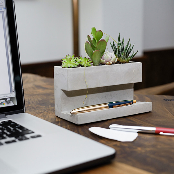 サボテンに最適なコンクリート製のデスクトッププランター。
