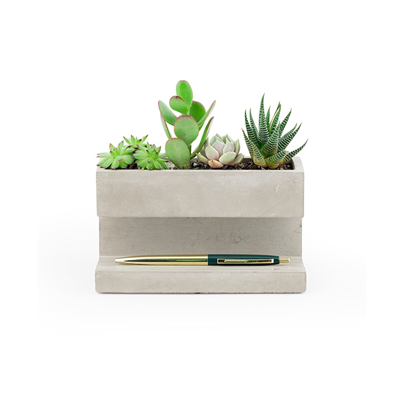 サボテンに最適なコンクリート製のデスクトッププランター。