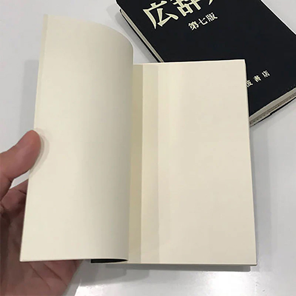 広辞苑の表紙デザインのミニノートです。