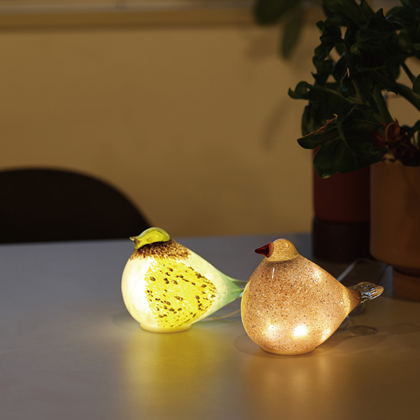 ヒーラーラブライト　ツイン、必要なご縁の引き寄せヒーリングセット ヒーラーラブライト ツインレイ引き寄せのエネルギー 縁結び