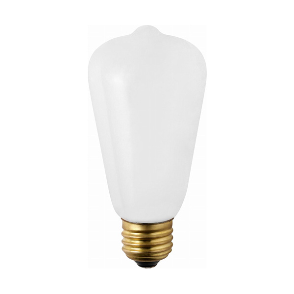 省エネ普及により、すでにスタンダードになっているLED電球をオリジナルパッケージで製作。