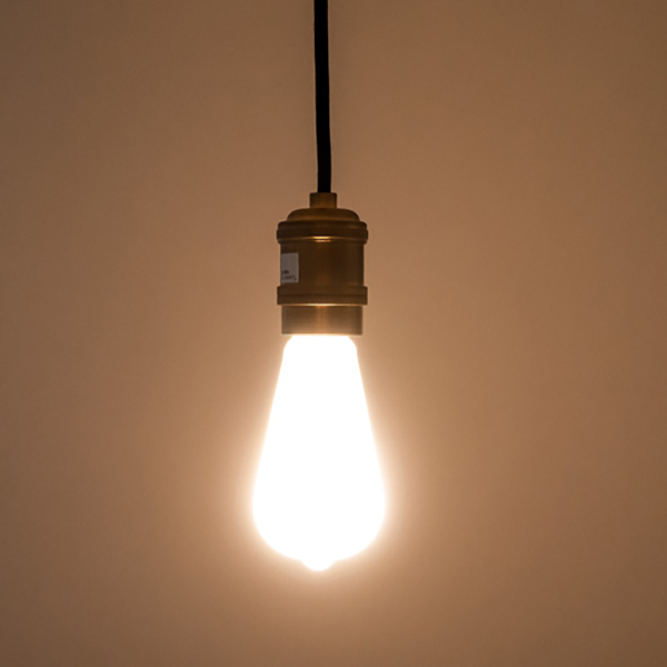 省エネ普及により、すでにスタンダードになっているLED電球をオリジナルパッケージで製作。