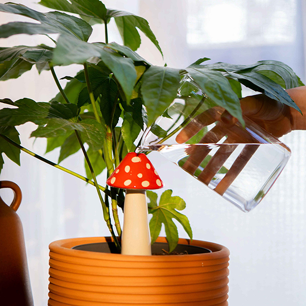 ゆっくりと水が浸み出て植物に給水することができるツール。