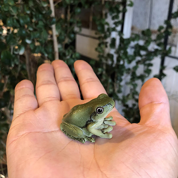 リアルなカエルの形のマグネット。