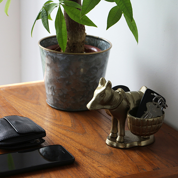 山岳地帯などの遊牧民にとって険しい道を進むためにロバは大変貴重なパートナー。