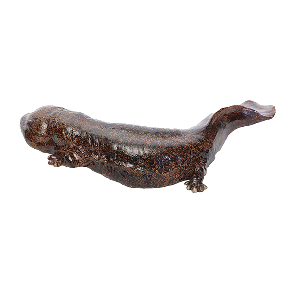 ペットバンク オオサンショウウオ PET BANK GIANT SALAMANDER 25351