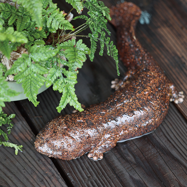 ペットバンク オオサンショウウオ PET BANK GIANT SALAMANDER 25351