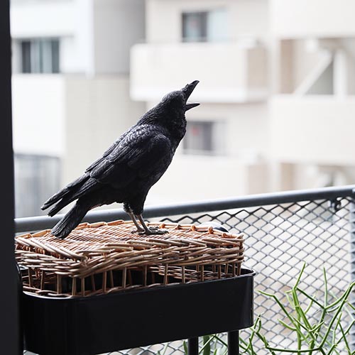 カラスの貯金箱オブジェ。