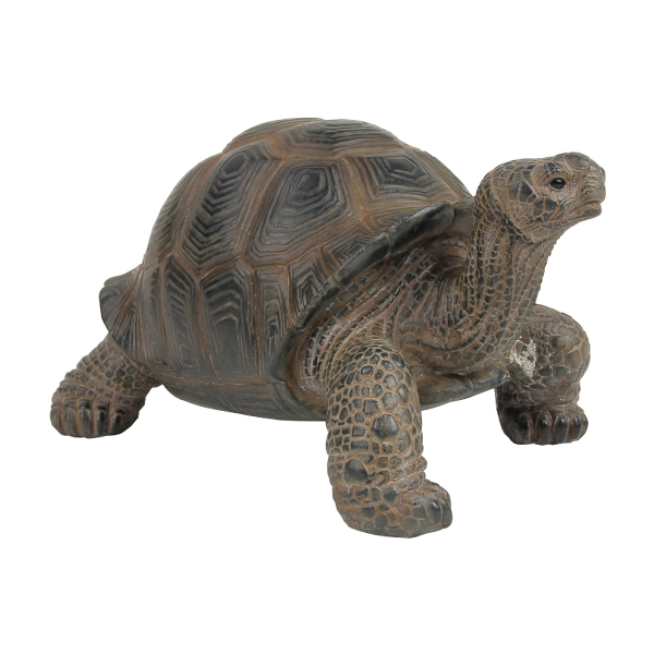 PET BANK ペットバンク TORTOISE (リクガメ) 975