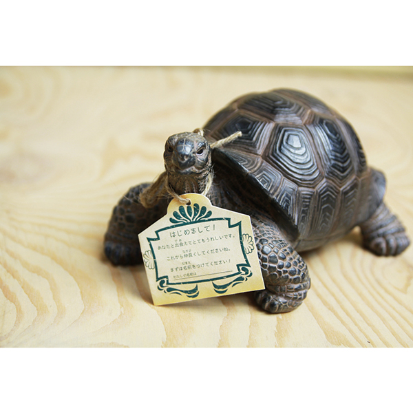 PET BANK ペットバンク TORTOISE (リクガメ) 975