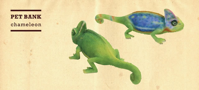 思わず撫でてしまいそうな貯金箱です。