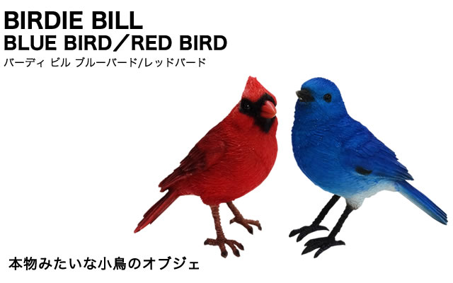 リアルな造形の小鳥】バーディ ビル （ブルーバード） ｒｏｄｃｏｎｔｒｏｌ