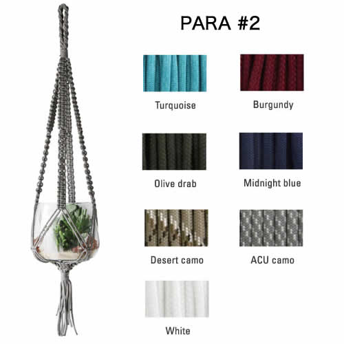 エアプランツの観賞用アイテムとして。