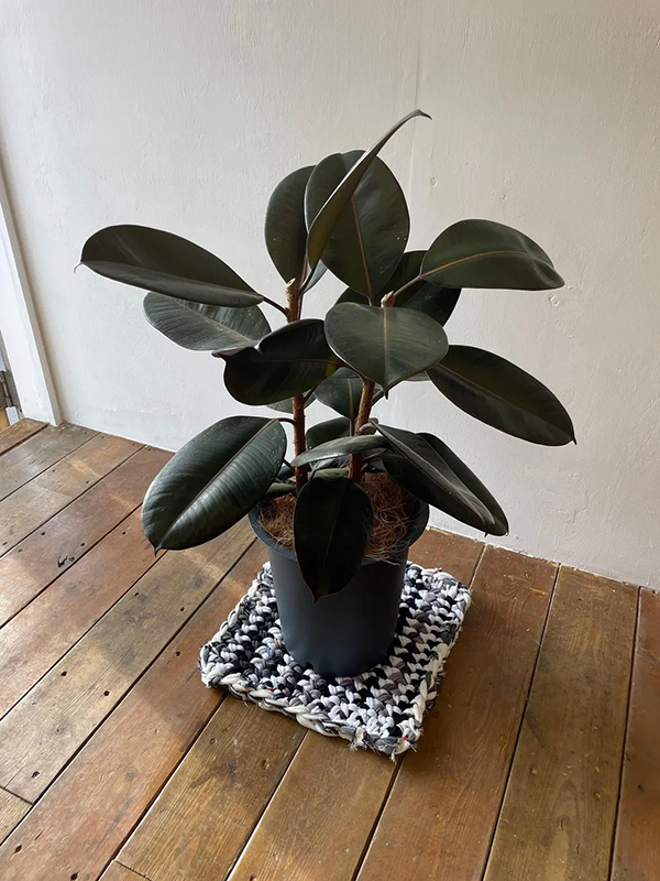 靴下を製造すると必ず出る輪っかの端切れを指編みという技法で編んだマット。