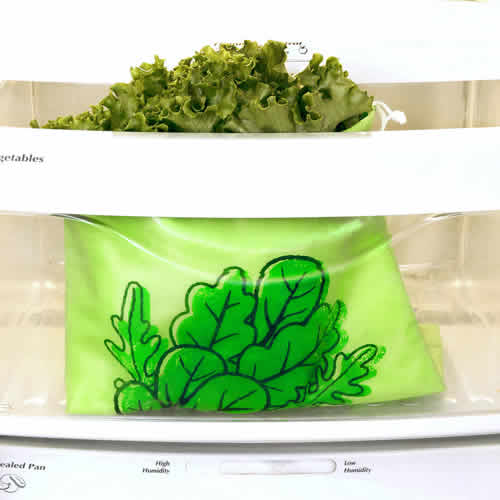 レタス等の葉野菜を新鮮に保つことが出来る保存バッグ。