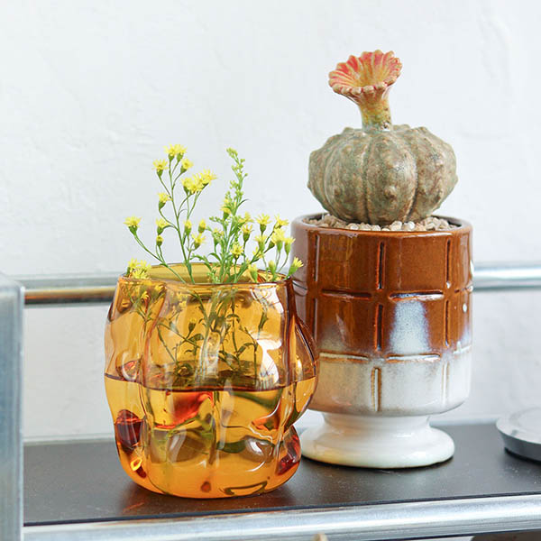 アート性と実用性を兼ね備えたガラス器です。