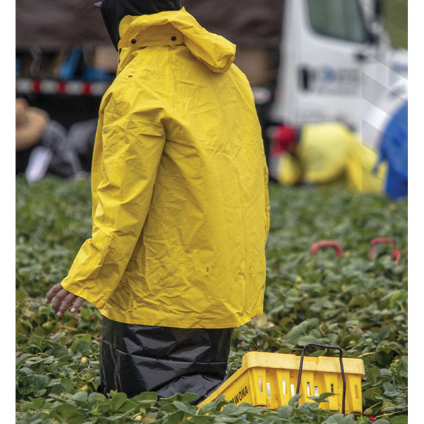 丈夫なPVC製フード付きレインコート。