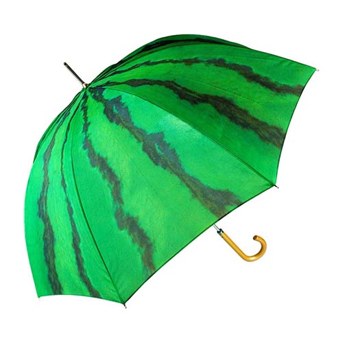 憂鬱な雨の日のお出かけを少し楽しくさせてくれる傘。