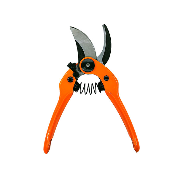 剪定作業から果実の収穫までマルチに使用できるスタンダード剪定ばさみ。