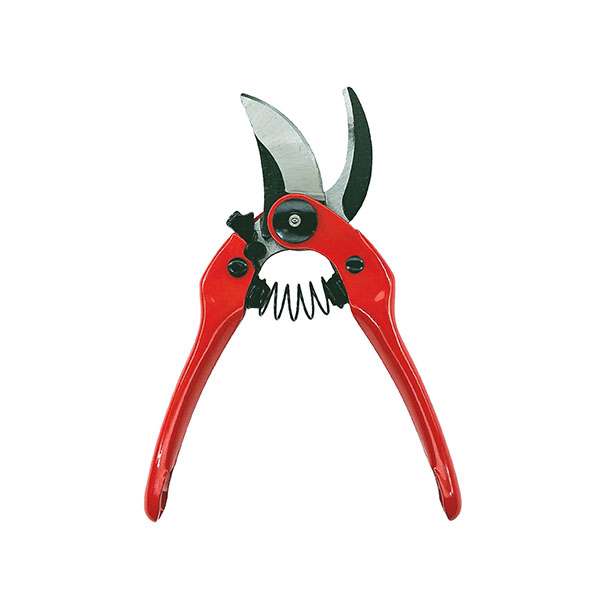 剪定作業から果実の収穫までマルチに使用できるスタンダード剪定ばさみ。