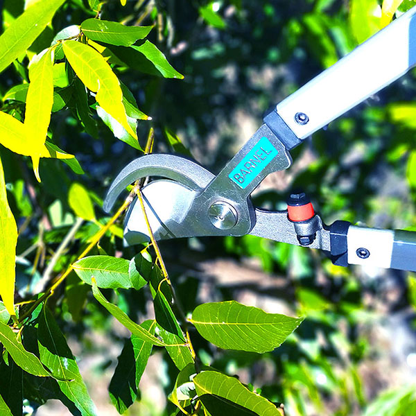 樹木の剪定用プロ向け太枝ばさみ。