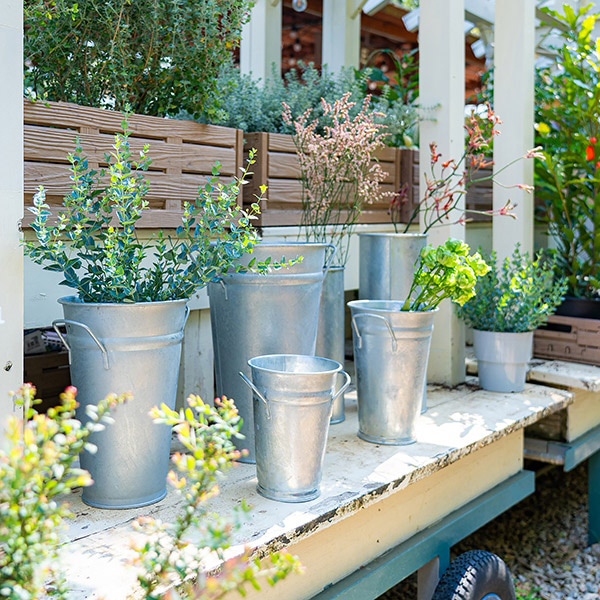 シンプルなシリンダー型のベースはお花や植物をシックに見せてくれます。