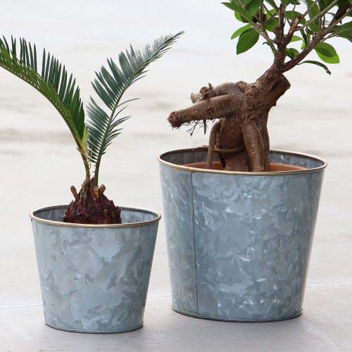 縁がゴールドとアクセントを加えたプラントカバー。