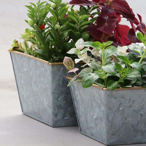 縁がゴールドとアクセントを加えたプラントカバー。