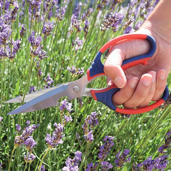 シャープなステンレス刃と、持ちやすいソフトグリップで人気のSJの剪定ハサミ。