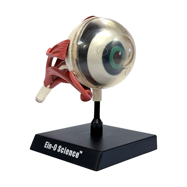 子供向けにの楽しくて視覚的に魅力的な科学活動キット。