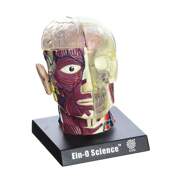 子供向けにの楽しくて視覚的に魅力的な科学活動キット。