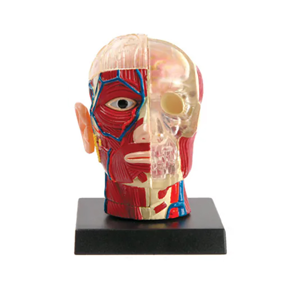 子供向けにの楽しくて視覚的に魅力的な科学活動キット。