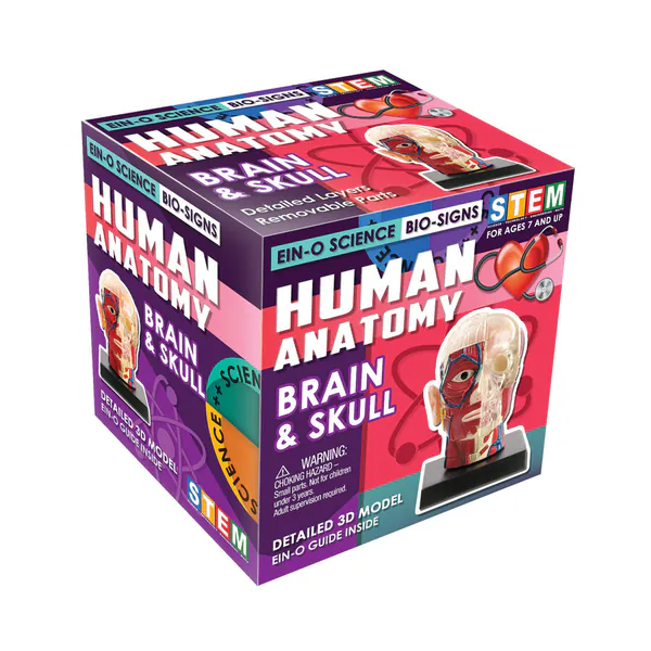 子供向けにの楽しくて視覚的に魅力的な科学活動キット。