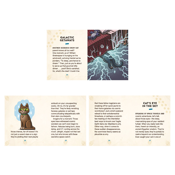 もし愛猫が地球外生命体だったら？というユニークな発想から生まれたUFOトイ。