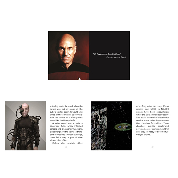 宇宙艦「ボーグ・キューブ」をモチーフにしたライト＆サウンドフィギュア。